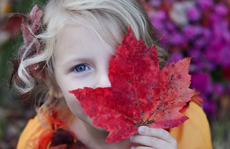 Girl smiling behind a large red leaf
